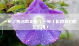 三星手机隐藏功能（三星手机隐藏功能怎么用）