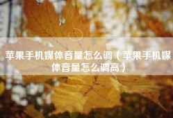 苹果手机媒体音量怎么调（苹果手机媒体音量怎么调高）