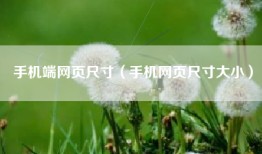 手机端网页尺寸（手机网页尺寸大小）