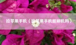 捡苹果手机（捡苹果手机能刷机吗）