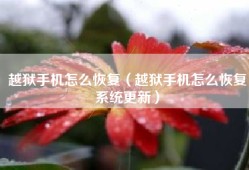 越狱手机怎么恢复（越狱手机怎么恢复系统更新）