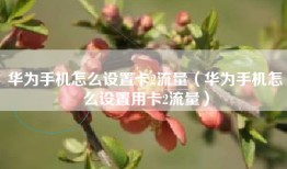 华为手机怎么设置卡2流量（华为手机怎么设置用卡2流量）