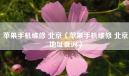 苹果手机维修 北京（苹果手机维修 北京地址查询）