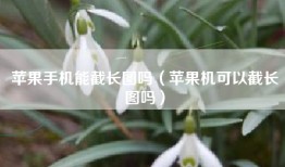 苹果手机能截长图吗（苹果机可以截长图吗）