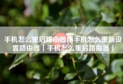 手机怎么重启路由器用手机怎么重新设置路由器「手机怎么重启路由器」