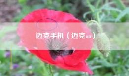 迈克手机（迈克oa）