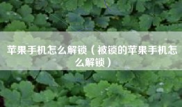 苹果手机怎么解锁（被锁的苹果手机怎么解锁）