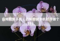 音频剪辑手机（音频剪辑手机软件哪个好）