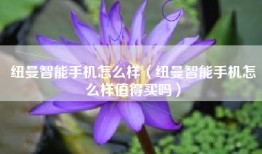 纽曼智能手机怎么样（纽曼智能手机怎么样值得买吗）