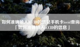 如何准确输入ICCID的信息手机卡iccid查询「如何准确输入ICCID的信息」