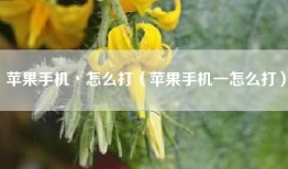 苹果手机丶怎么打（苹果手机一怎么打）