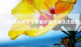 在线语音转文字语音识别实现及注意实现