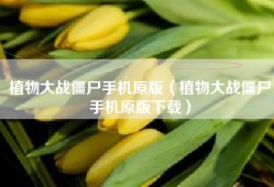 植物大战僵尸手机原版（植物大战僵尸手机原版下载）