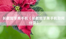 长截图苹果手机（长截图苹果手机如何分页）