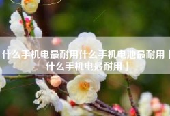 什么手机电最耐用什么手机电池最耐用「什么手机电最耐用」