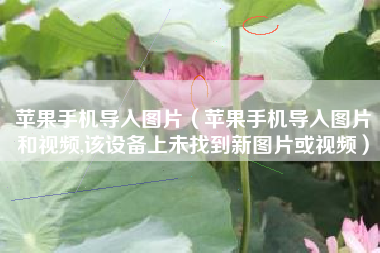 苹果手机导入图片（苹果手机导入图片和视频,该设备上未找到新图片或视频）