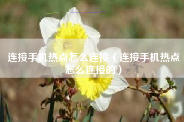 连接手机热点怎么连接（连接手机热点怎么连接的）