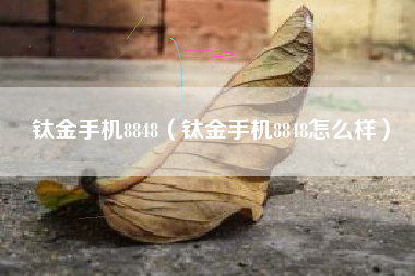 钛金手机8848（钛金手机8848怎么样）