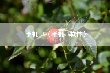 手机 ssh（手机ssh软件）