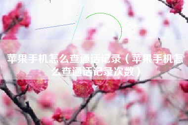 苹果手机怎么查通话记录（苹果手机怎么查通话记录次数）