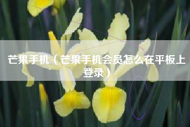 芒果手机（芒果手机会员怎么在平板上登录）