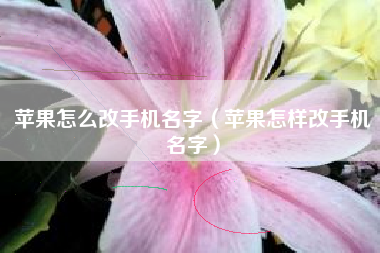 苹果怎么改手机名字（苹果怎样改手机名字）